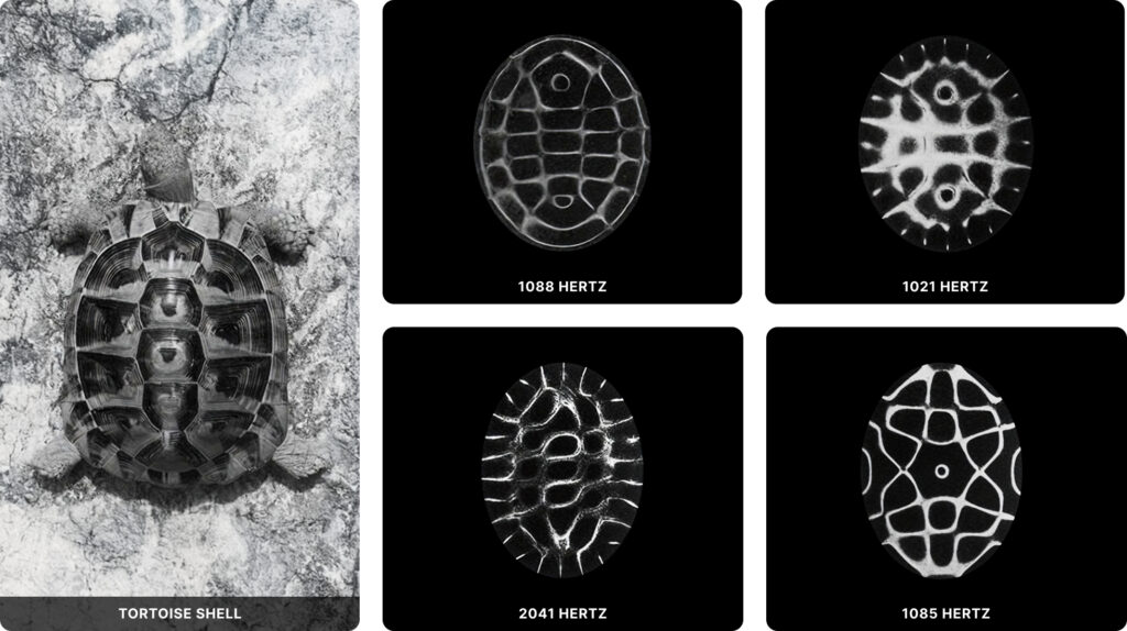 blog ctaasovs image 03