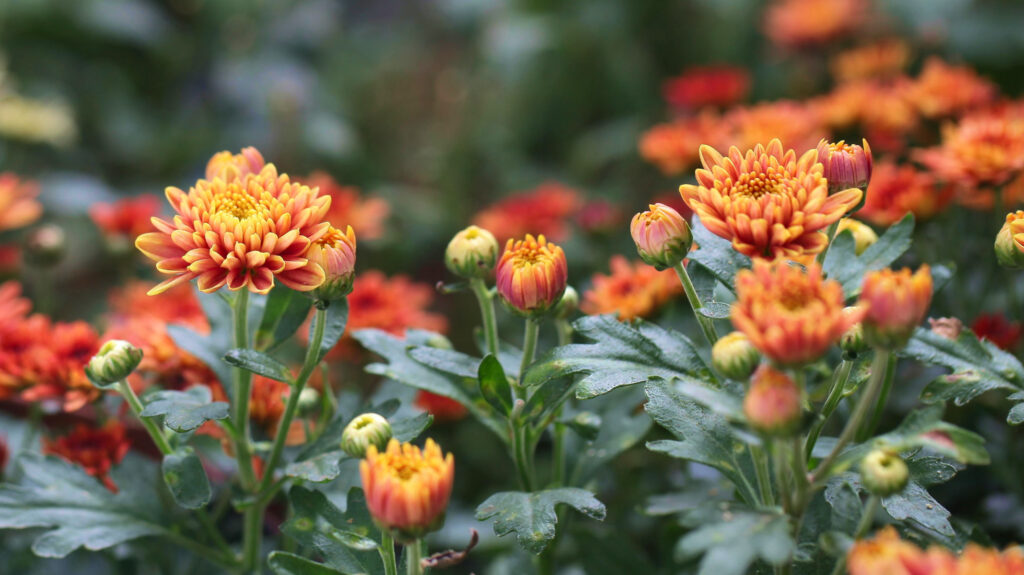 blog clttaog heroshot