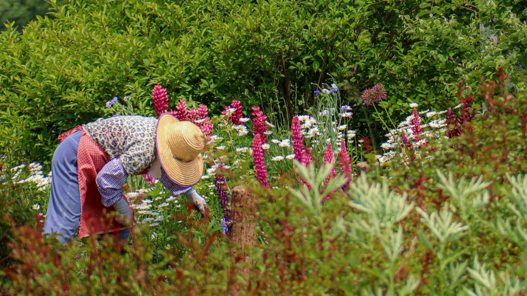 blog clttaog image 02