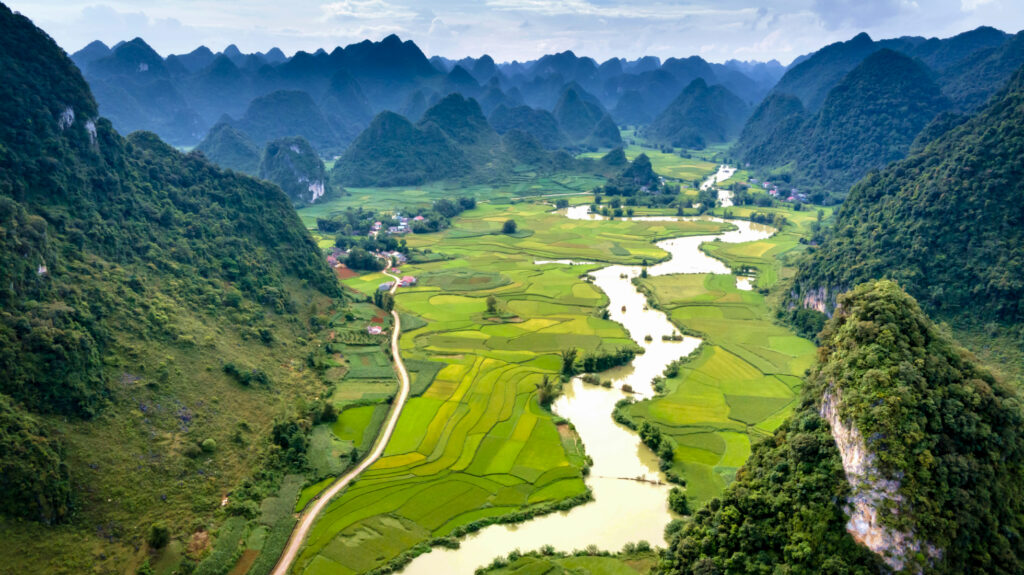 blog lftfor image 01