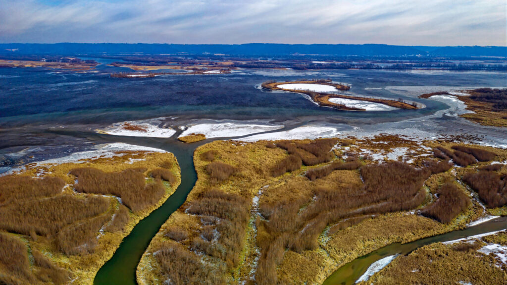 blog lftfor image 03