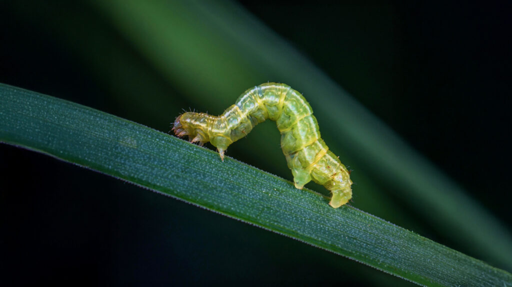 blog tbatsob image 01