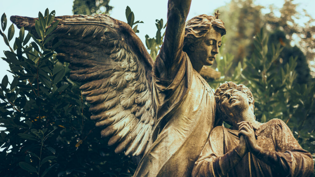 blog dvitaor image 02