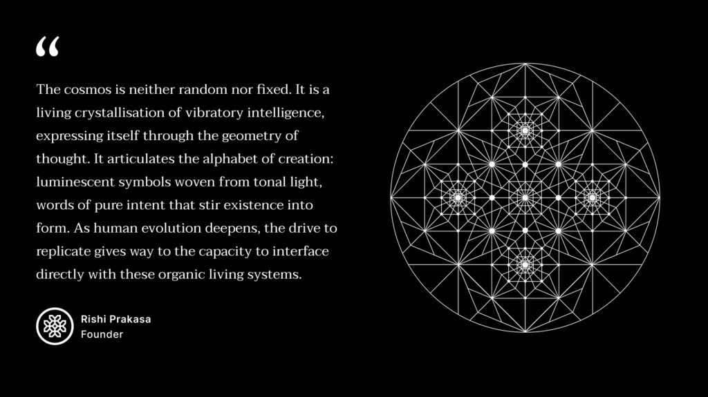 blog tboftatgot image 06